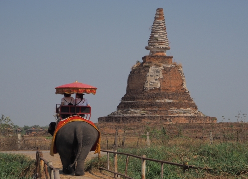 アユタヤで象乗り体験